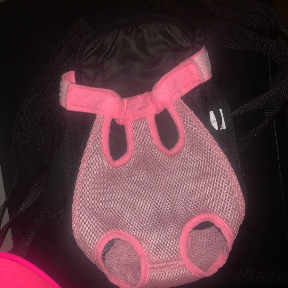 Small dog backpack carrier